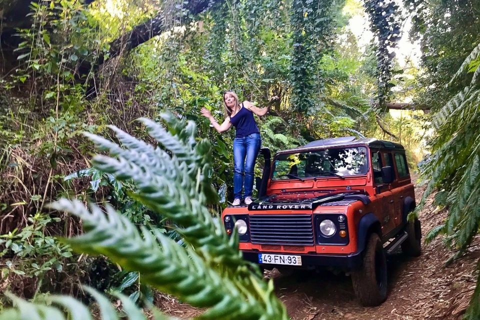 Madeira: West Side Jeep Tour with Natural Pools - Ribeira da Janela: Northwest Coast Views at Sea-Level Time