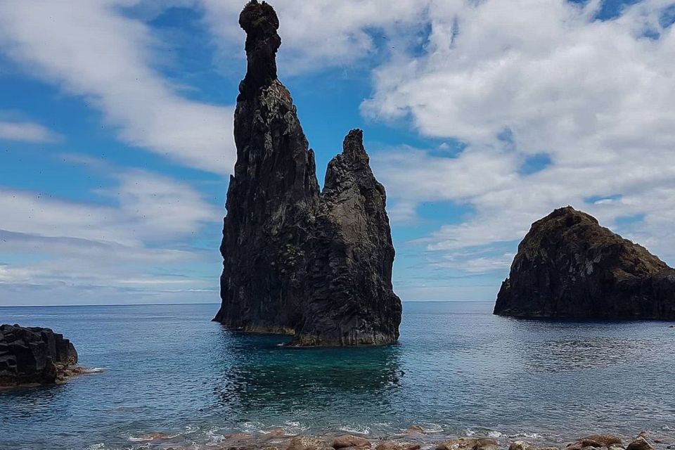 Madeira: West Side Jeep Tour with Natural Pools - Fanal Forest: Walking Time in a Place That Changes With Weather