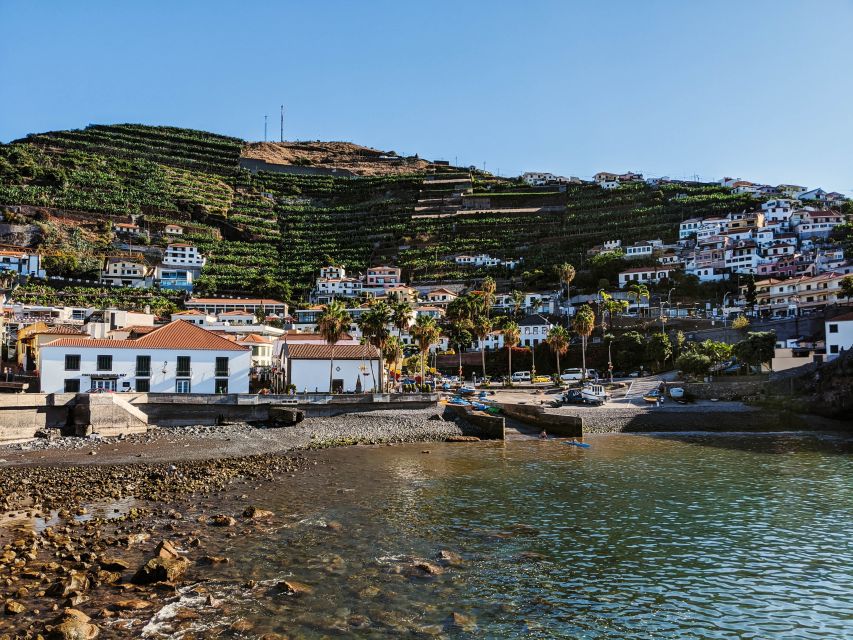 Madeira: Western Madeira Guided Trip & Fanal Mystic Forest - Porto Moniz Natural Volcanic Pools: lunch break and optional swimming