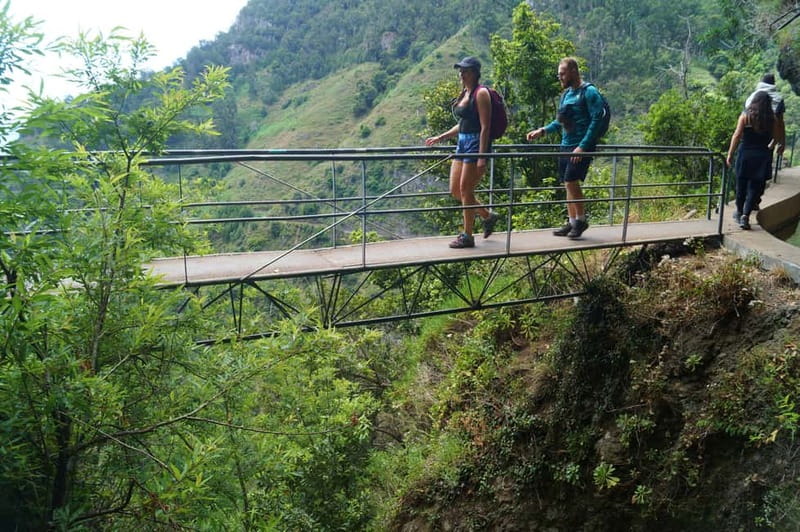 Madeira: Wet your hair in the amazing Levada Nova / Moinhos - Getting picked up in Caniço/Funchal and starting with a café snack stop