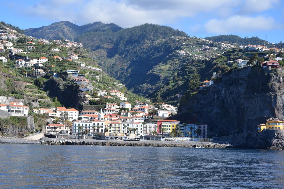 Madeira: Whale and Dolphin Watching Private Cruise - Who This Cruise Suits Best (and Who Should Rethink It)