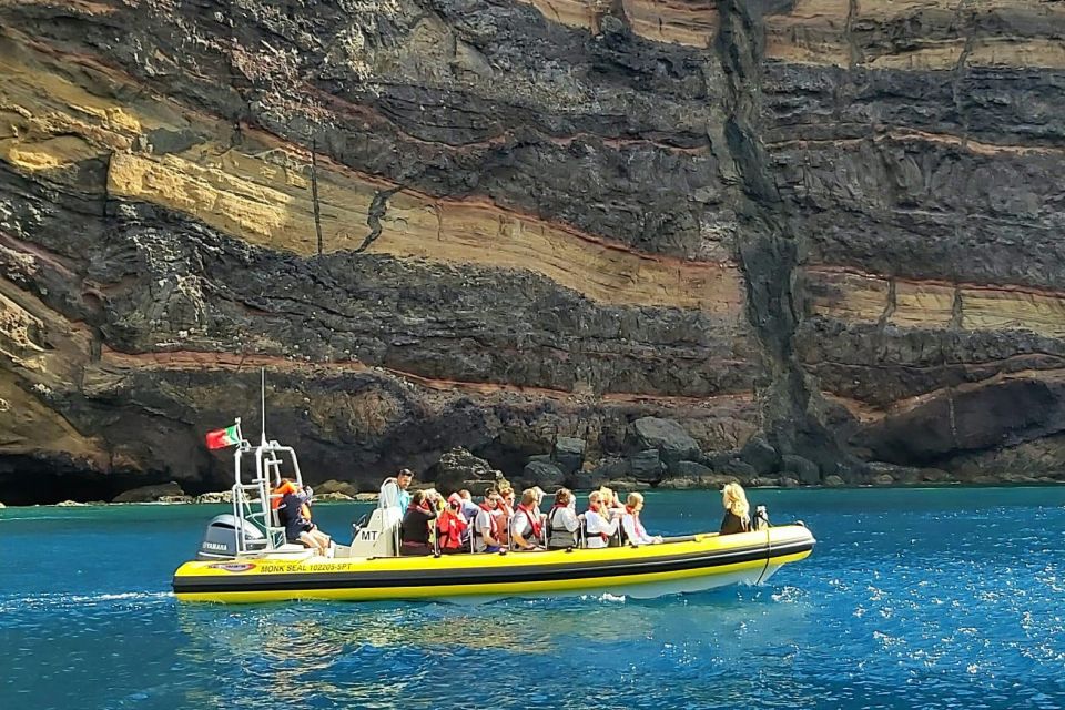 Madeira: Whale and Dolphin Watching Tour - The wildlife search at sea: whales, dolphins, turtles, and splashy moments