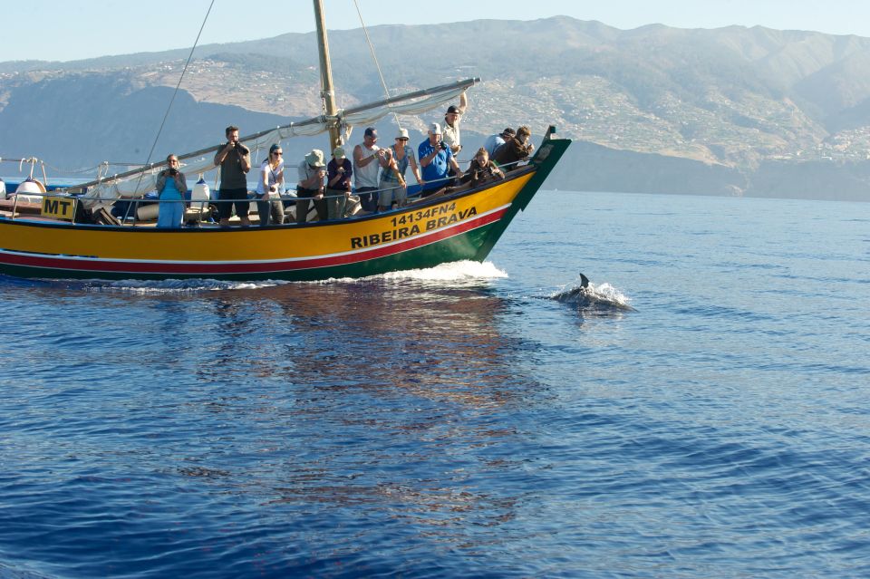 Madeira: Whale Watching Excursion in a Traditional Vessel - The guides make or break it: how the spotting works
