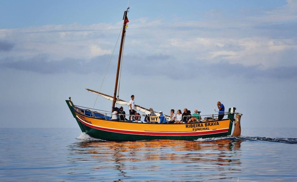 Madeira: Whale Watching Excursion in a Traditional Vessel - The coastline from the sea: why this isn’t only about whales