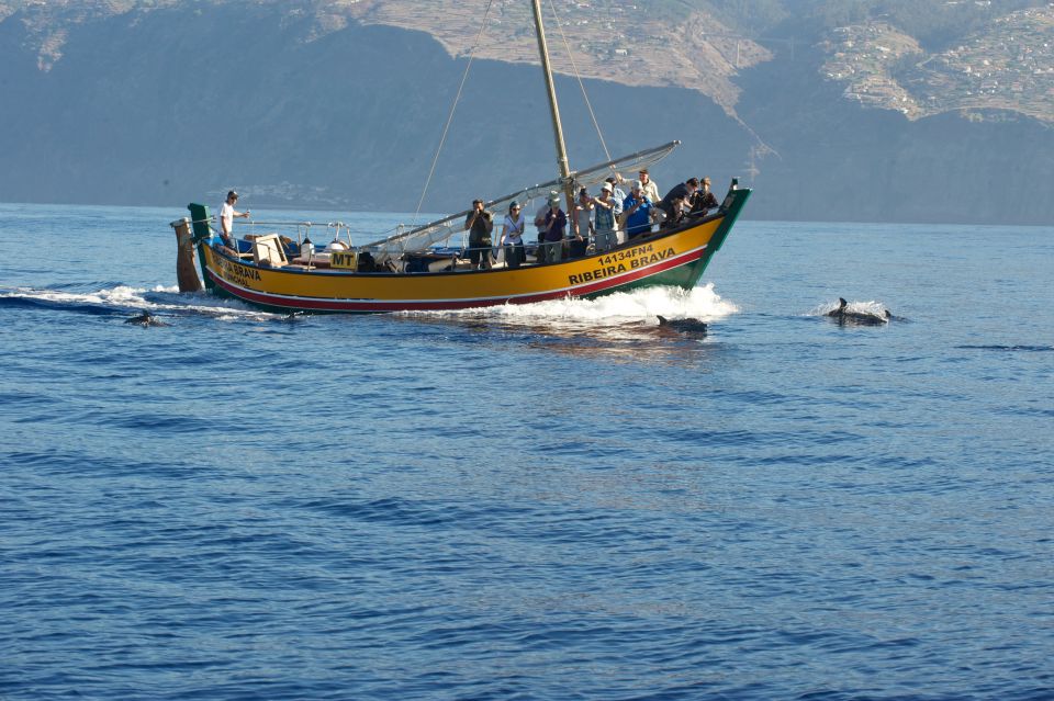 Madeira: Whale Watching Excursion in a Traditional Vessel - What can affect your experience on the day