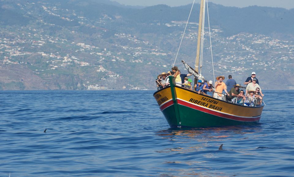Madeira: Whale Watching Excursion in a Traditional Vessel - Who should book this whale watching excursion