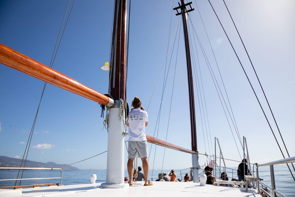 Madeira : Whales and Dolphins wooden boat excursion - Practical What to Bring (So You Actually Enjoy Cabo Girão)