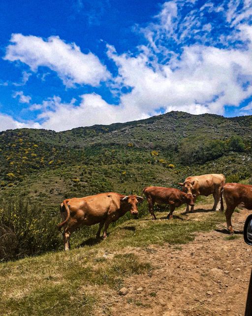 Madeira Wild West 4X4 Tour Safari - Comfort, Safety, and Seat Setup in the 4x4 Vehicle