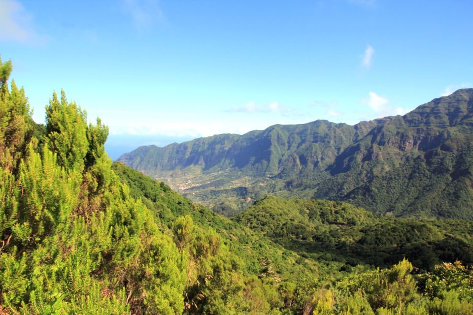 Madeira: Wine Safari Jeep Tour with Local Guide - Key highlights worth planning for