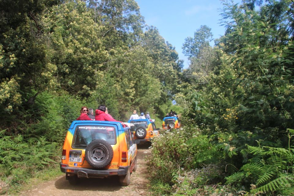 Madeira: Wine & Tapas, Cabo Girão Skywalk 4x4 Jeep Adventure - Practical tips for a smoother day in an open jeep