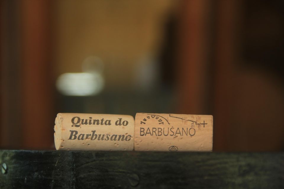 Madeira: Wine & Tapas, Cabo Girão Skywalk 4x4 Jeep Adventure - The open-top 4x4 ride: where the island turns into an adventure