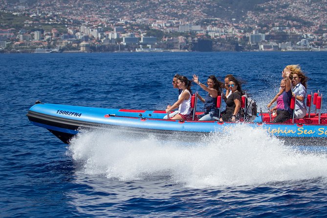 Magic Dolphin Sea Safaris - Key things that make Magic Dolphin different