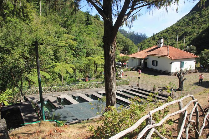 Magnificent East Tour - Ponta de São Lourenço: Pointing Out Wildlife and Plants