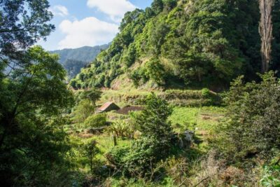 Maroços Madeira Island Levada Walk - Getting from Funchal: pickup that reduces hassle