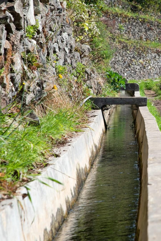 Maroços Madeira Island Levada Walk - Mimosa Valley sights: flowers, scents, and photo-friendly moments
