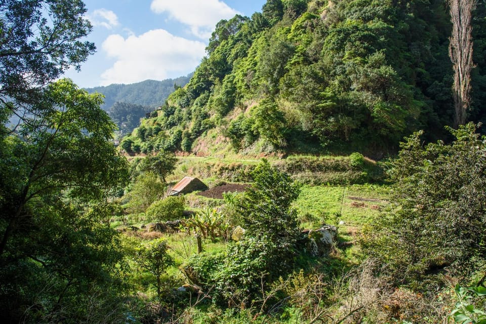 Maroços Madeira Island Levada Walk - Getting from Funchal: pickup that reduces hassle
