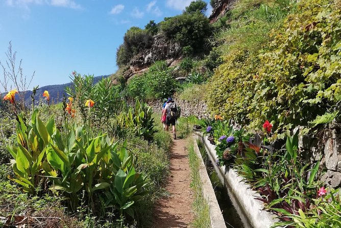 Maroços - Mimosa Valley - Maroços to Mimosa Valley: an easy Madeira walk with real local texture