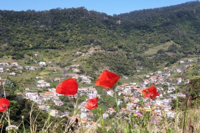 Maroços - Mimosa Valley - Hotel pickup and transfers: smooth when it works, plan for timing when it doesn’t