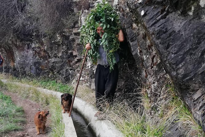 Maroços - Mimosa Valley - Who this hike suits (and who might want to skip it)