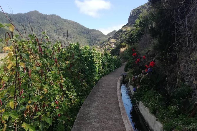 Maroços - Mimosa Valley - Weather on Madeira: why good conditions matter for levadas