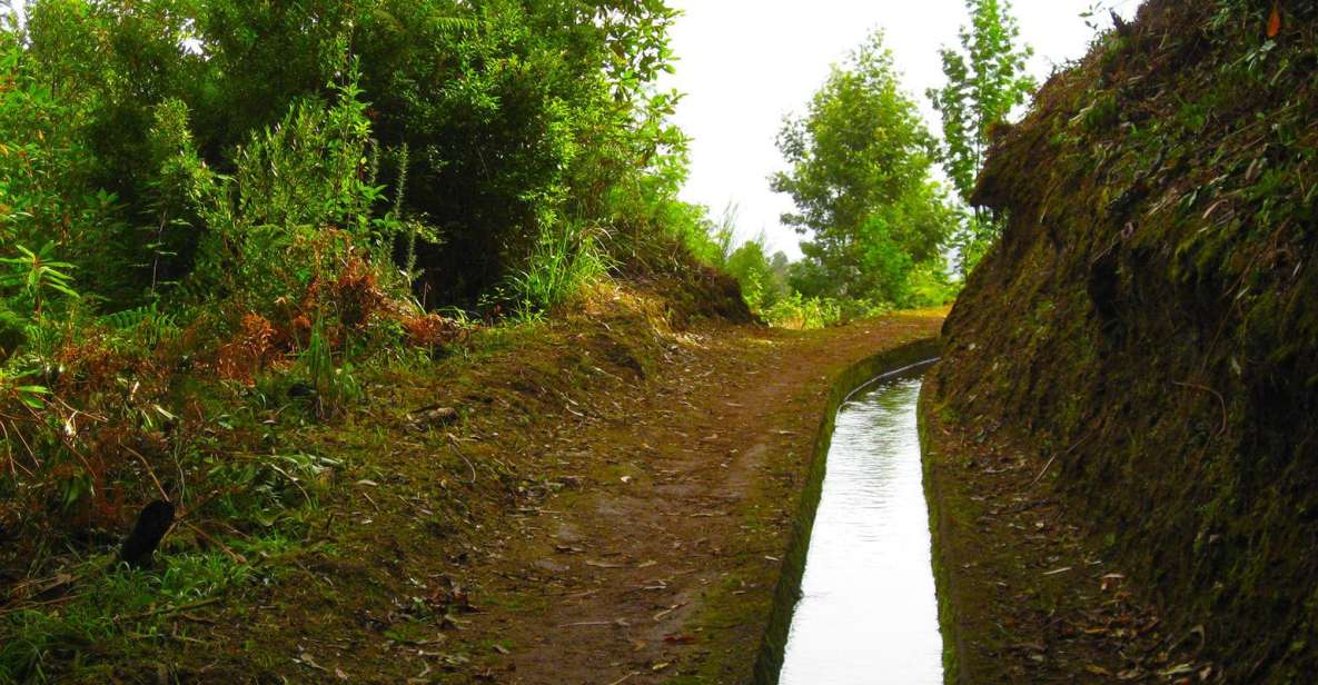 Maroços / Mimosa Valley - Levada Walk - Key Highlights at a Glance