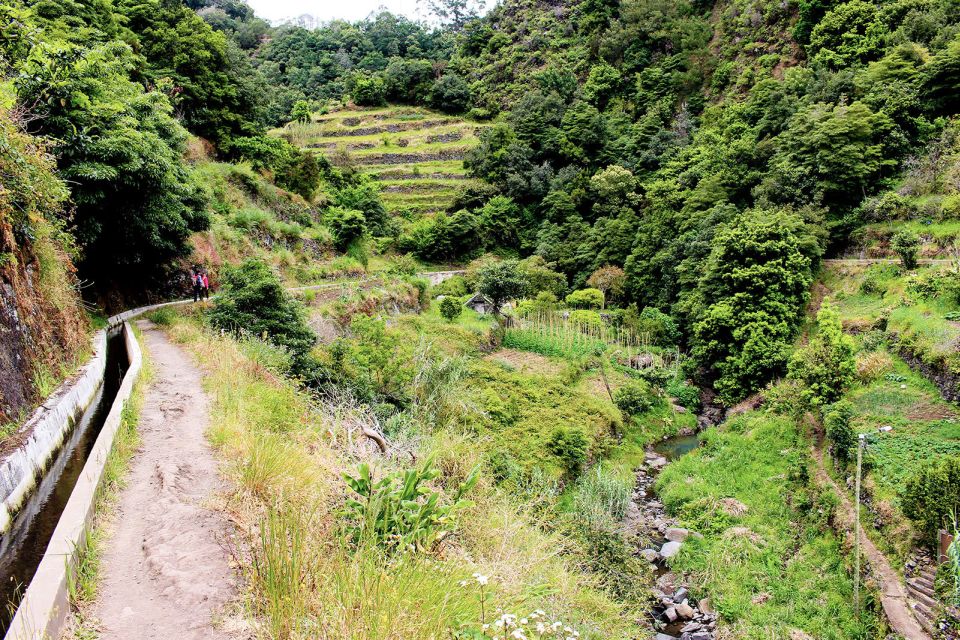 Maroços / Mimosa Valley - Levada Walk - Why Levada Walks Here Feel Different From the Typical Trail