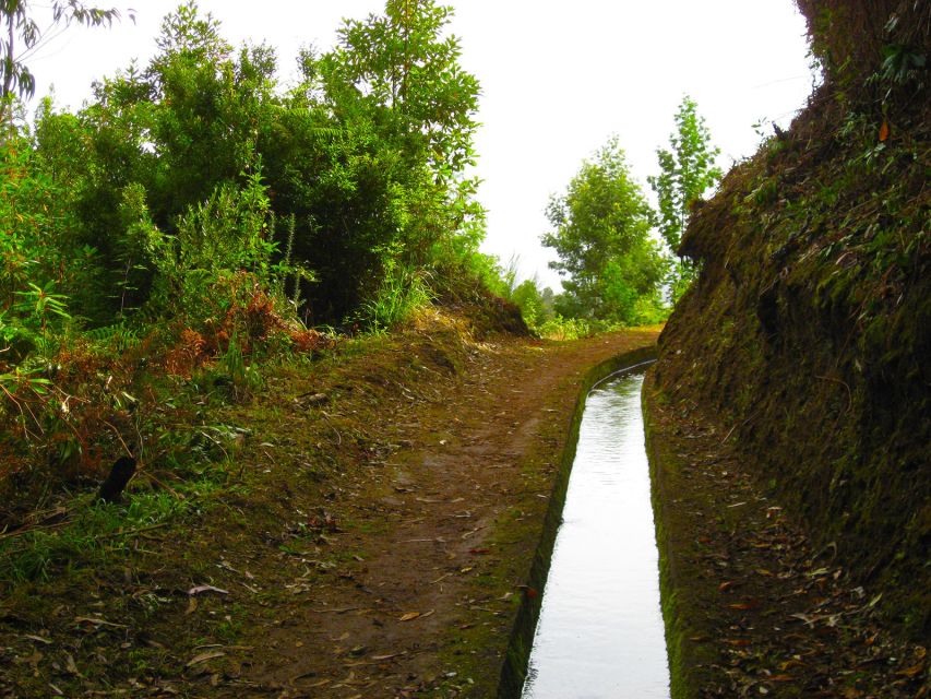 Maroços / Mimosa Valley - Levada Walk - What You’ll Actually See: Crops, Irrigation Work, and Valley Views