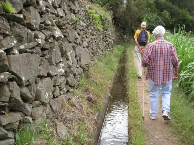 Maroços / Mimosa Valley - Levada Walk - The 4-Hour Walk Into Machico’s Mimosa Valley