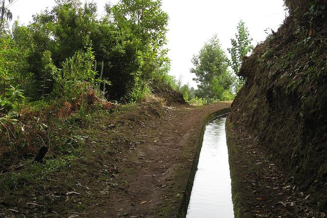 Maroços Mimosa Valley Levada Walk from Funchal - Key highlights to know before you go