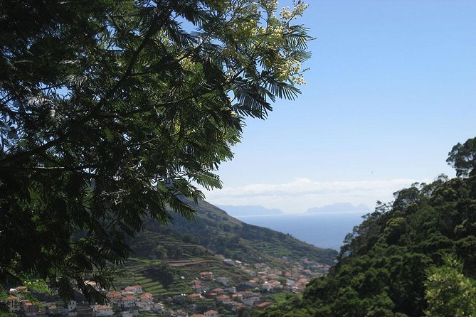 Maroços Mimosa Valley Levada Walk from Funchal - Why this levada walk feels so local
