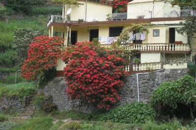 Maroços Mimosa Valley Levada Walk from Funchal - The walk itself: distance, pace, and footing