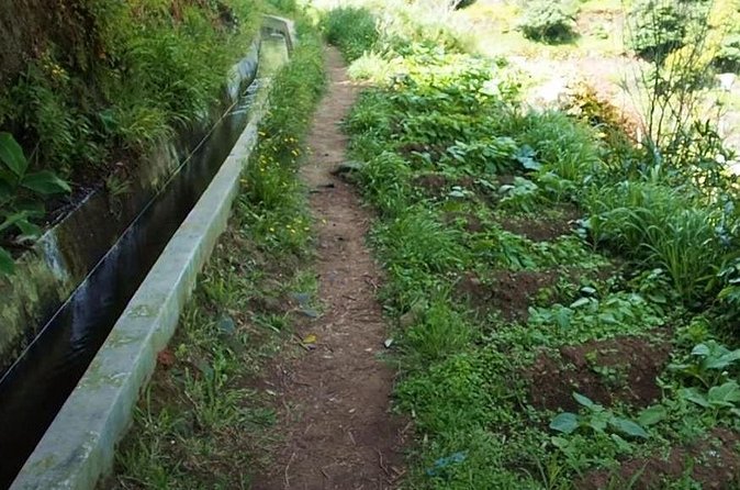 Mimosa Valley Walk - What to pack for a 4-hour levada stroll
