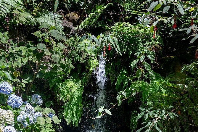 Monte Palace Tropical Garden tour with Cable Car - Cable Car Views Above Funchal: the easy start