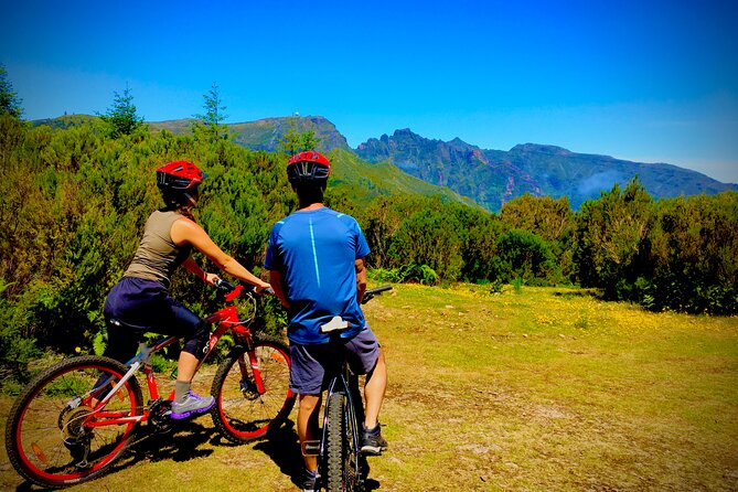 Mountain Biking Tour - Beginner Easy - Funchal Beginner MTB: What the Ride Really Delivers