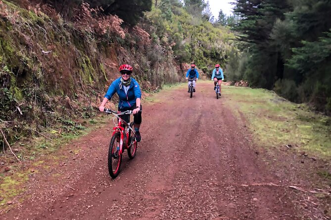 Mountain Biking Tour - Beginner Easy - Levada Trail Toward Camacha: A Different Madeira Pace