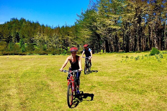 Mountain Biking Tour - Beginner Easy - Price and Value: Is $78.10 Fair for This Ride?