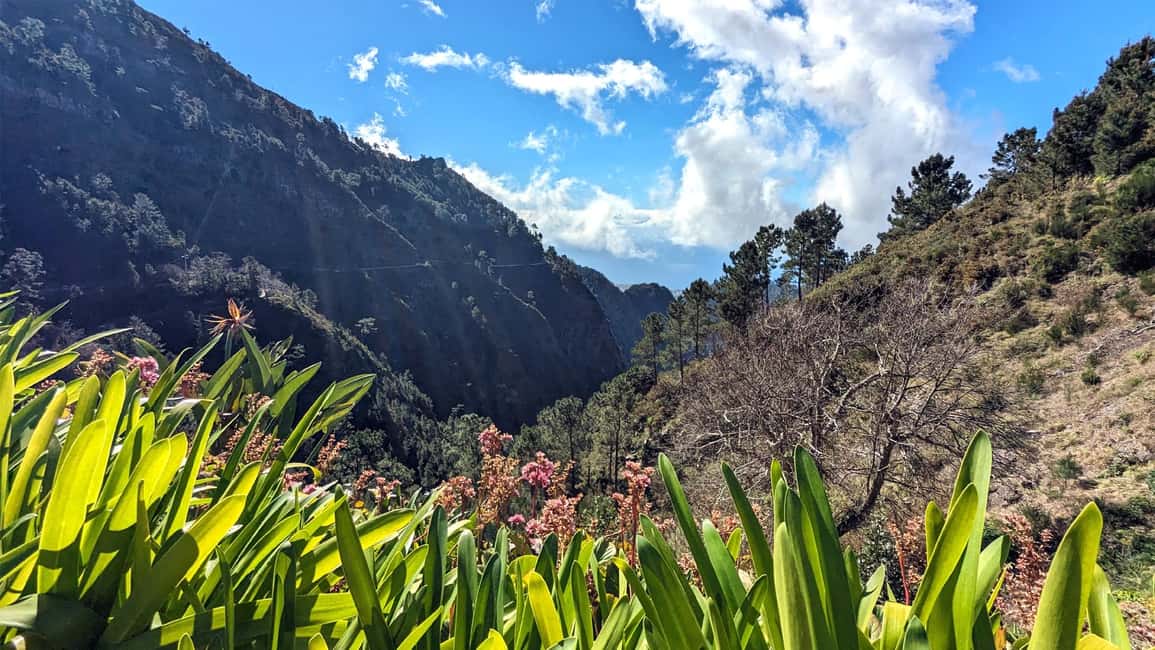 Mountain Wonders: Nuns Valley Half-day Private Jeep - Eira do Serrado at 1,095 Meters: Views Plus a Short Walk (About 30 Minutes)