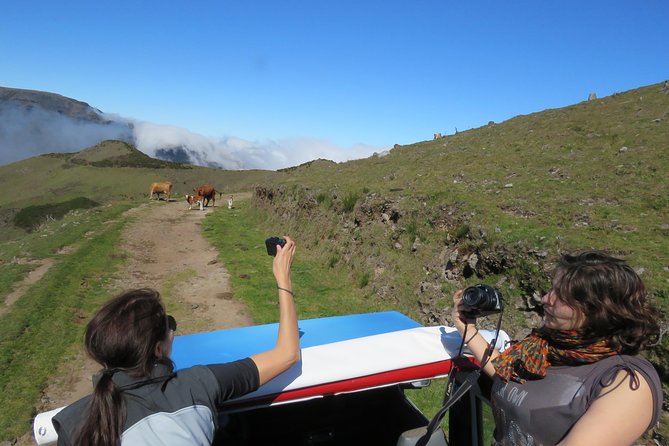 Northeast 4x4 Santana and Landscapes Day Trip - Stop 3: Arco de São Jorge and the mix of sea, mountains, and vineyards