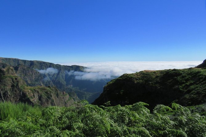 Nun's Valley Open 4X4 Tour - Miradouros Do Paredão: Reforestation You Can Actually See