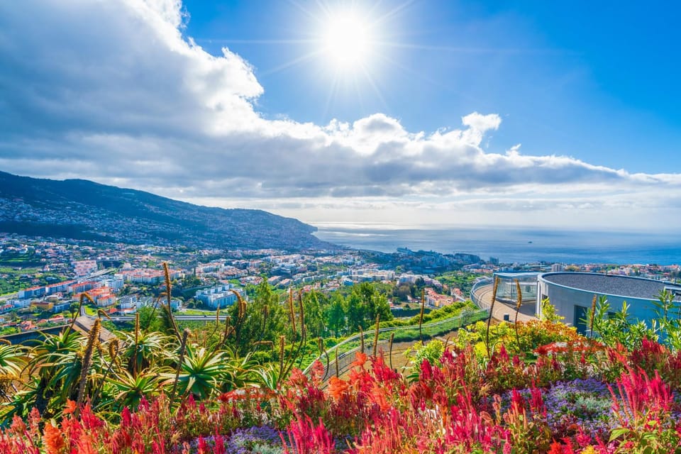 Nun's Valley & Pico dos Barcelos Madeira Island Tour - Key points to know before you go