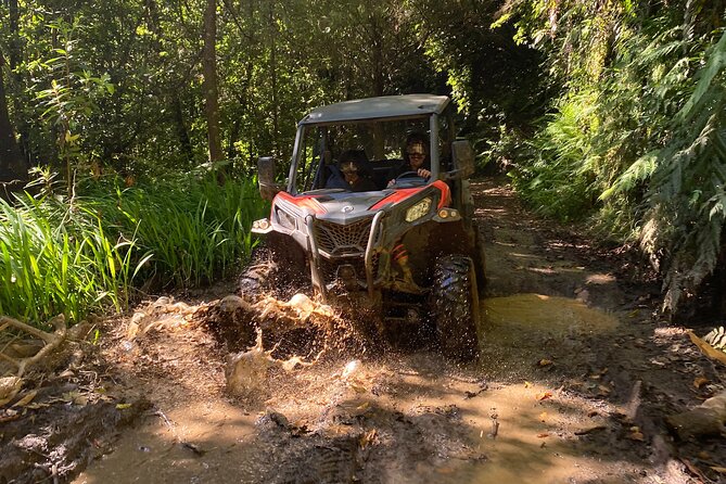 Off-Road Buggy Driving Experience - Why Madeira’s Laurisilva feels special from a buggy