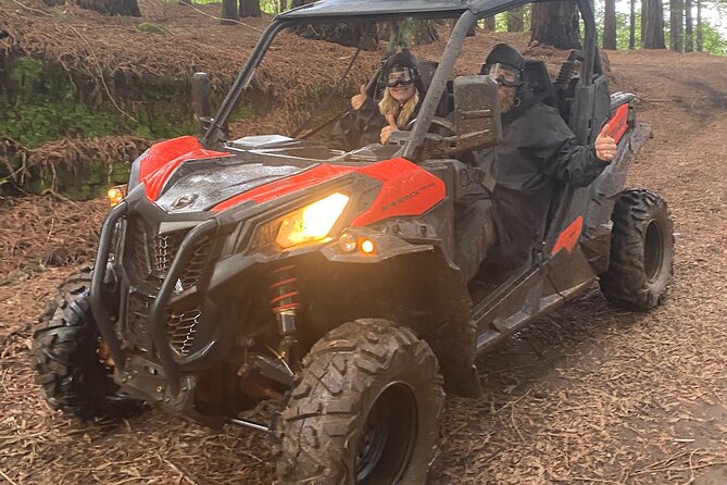 Off-Road Buggy Driving Experience - Laurissilva Forest driving in Santana: what the 2 hours actually feels like