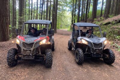 Off-Road Buggy Driving Experience - Meeting at Caminho das Covas: quick setup, then you ride