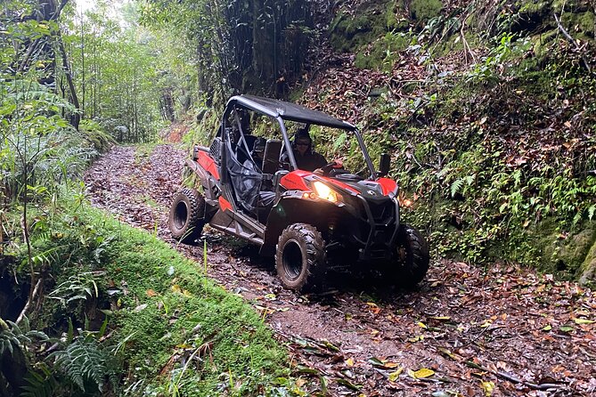 Off-Road Buggy Driving Experience - Weather and timing: plan for conditions, not just the calendar