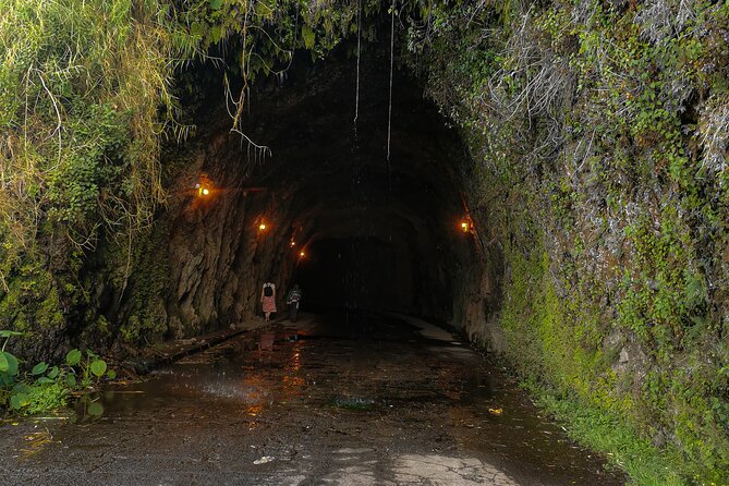 Oldtimer Sightseeing Tour in the West and Northwest - Calheta to Jardim do Mar: Sea Walks and Paul do Mar’s 1912 Canning Legacy