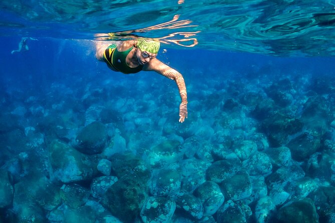 Open-Water Swimming in Madeira - What’s included (and what it means for your day)
