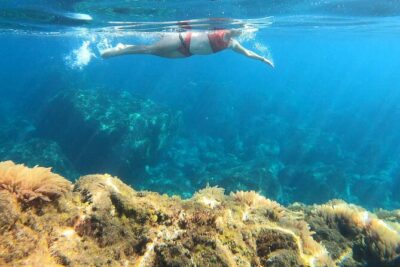 Open-Water Swimming in Madeira - The Garajau Natural Reserve swim: clear water and a view that makes effort worth it