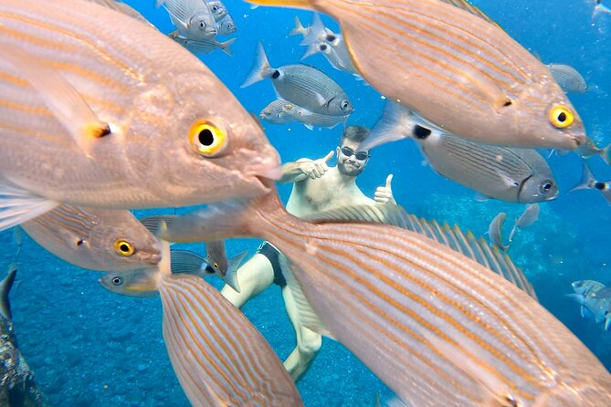 Open-Water Swimming in Madeira - Wetsuits and other extras: the one cost trap to plan for