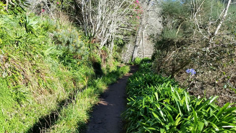 Paradise Valley half-day morning walk. - Price and value: is $41 a fair deal?