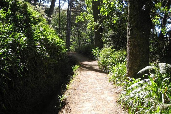 Paradise Valley - Levada Walk - Key Points Before You Go